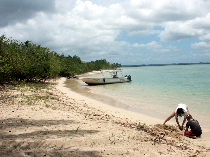 25 - Mangrove 031.jpg - DCF 1.0